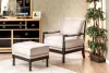 Furniture of America CM-AC6140BG Sybil - Accent Chair - Beige