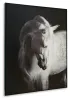 Ashley Furniture A8000409 Archerwick - Wall Art - Black / White