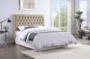 CoasterEssence 300007FB1 Chloe - Upholstered Full Panel Headboard - Oatmeal