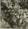 Furniture of America RG5193S Develi - 5' x 7' Area Rug - Gray Fabric