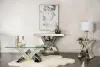 CoasterElevations 723447 Taffeta - Glass Top Mirrored Acrylic End Table - Silver