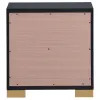 Coaster Fine Furniture 222832 Marceline - 2-Drawer Nightstand - Black
