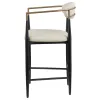 Coaster Fine Furniture 121184 Tina - Fabric Upholstered Counter Chair (Set of 2) - Beige