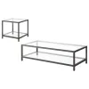Coaster Fine Furniture 720228-S2 Trini - 2 Piece Coffee And End Table Set - Black