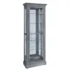 Pulaski Furniture P021792 Pulaski Accents - Side Entry Curio Cabinet - Gray