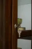 Pulaski Furniture 20661 PFC Curios - Sliding Door 5 Shelf Curio Cabinet - Chocolate Cherry