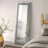 CoasterEssence 961636 Valerie - Acrylic Crystal Floor Mirror - Silver