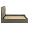 Coaster Fine Furniture 315975Q Delsea - Upholstered Queen Panel Platform Bed - Light Brown