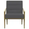 Coaster Fine Furniture 903144 Kirra - Upholstered Metal Arm Accent Chair - Dark Gray