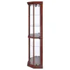 CoasterEssence 3393 Appledale - 6-Shelf Corner Curio Display Cabinet - Medium Brown