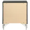 Coaster Fine Furniture 224992 Lucia - 2-Drawer Nightstand Bedside Table - Black