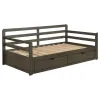 CoasterEssence 305706 Sorrento - 2-Drawer Twin Long Daybed With Extension Trundle - Gray