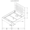 CoasterEssence 300007Q Chloe - Upholstered Queen Panel Bed - Oatmeal