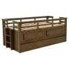 Coaster Fine Furniture 400716T Carlsbad - Wood Twin Captains Bed With Trundle - Medium Brown