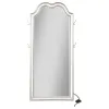 Coaster Fine Furniture 223400 Evangeline - Full Length LED Light Floor Mirror - Silver Oak