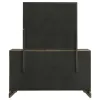 Coaster Fine Furniture 224933M Gran Park - 6-Drawer Dresser And Mirror - Dark Cocoa