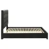 Coaster Fine Furniture 315911BLKQ Medley - Genuine Leather Queen Panel Platform Bed - Black
