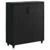 Coaster Fine Furniture 223165 Lorient - 5-Drawer LED Chest of Drawers - Black