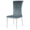 CoasterElevations 109452 Beaufort - Upholstered Dining Side Chair (Set of 2) - Steel Gray