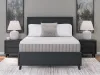 Sierra Sleep® by Ashley M52441 Sierra Sleep® by Ashley M52441 Terra Sleep Soft - King Mattress - White