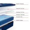 Sealy 53200131/53200131 Sealy 53200131/53200131 Posturepedic Elite - Albany II Euro Pillow Top Soft Mattress - Split King