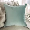 Furniture of America SM2685-SF Elicia - Sofa - Champagne / Turquoise