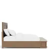Riverside Furniture 73976-73973-73979 Riverside Furniture 73976-73973-73979 Cascade - Queen Storage Bed With Light - Casual Mink