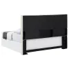 CoasterEveryday 315980K Pirro - Upholstered King Panel Headboard - Sand