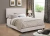 CoasterEveryday 350051Q Boyd - Upholstered Queen Panel Bed - Ivory