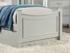 Furniture of America CM7477GY-T-BED Lycorida - Twin Bed