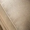 Furniture of America SM2676-LV Briana - Loveseat - Beige / Gold