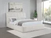 Coaster Fine Furniture 315917CRMQ Nollet - 48