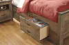 Ashley Furniture B446B16 Ashley Furniture B446B16 Trinell - Full Panel Bookcase Bed With 2 Storage Drawers - Brown