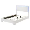 CoasterEssence 203500F Felicity - Wood Full LED Panel Bed - White High Gloss