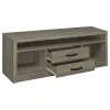 CoasterEssence 701024 Burke - 2-Drawer Engineered Wood TV Stand - Gray Driftwood