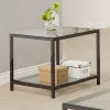 CoasterEssence 720227 Trini - 1-Shelf Glass Top Side End Table - Black Nickel