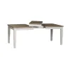 Liberty Furniture 171-T4078 Summerville - Rectangular Leg Table - Soft White Wash / Wirebrushed Gray