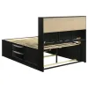 CoasterEssence 202701Q Briana - Wood Queen Storage Bookcase Bed - Black