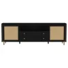 Coaster Fine Furniture 720263 Arini - Rattan Cane 2-Door TV Stand Media Console - Black