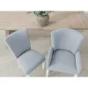 Riverside Furniture 30725 Rosalie - Upholstered Host Chair (Set of 2) - Blue