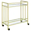 CoasterEssence 181381 Cara - 2-Tier Rectangular Glass Shelf Metal Bar Cart - Brass