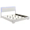 CoasterEssence 203500KE Felicity - Wood Eastern King LED Panel Bed - White High Gloss