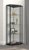 CoasterEssence 953234 Zenobia - 4-Shelf Curio Cabinet Display Case - Black
