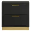 Coaster Fine Furniture 224782 Caraway - 2-Drawer Nightstand - Black