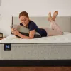 Tempur Sealy 52639061 Tempur Sealy 52639061 Essentials - Winter Green Medium Faux Euro Top Mattress - King