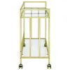 CoasterEssence 181381 Cara - 2-Tier Rectangular Glass Shelf Metal Bar Cart - Brass