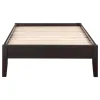CoasterEssence 300555T Hounslow - Twin Universal Platform Bed - Cappuccino