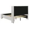 Coaster Fine Furniture 310078Q Alamosa - Boucle Upholstered Queen Wingback Bed - White