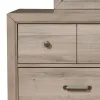 Samuel Lawrence Furniture S496-410 River Creek - Kids 6-Drawer Dresser - River Birch Brown