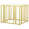 CoasterEssence 723607 Adri - Rectangular Glass Top Side End Table - Matte Brass